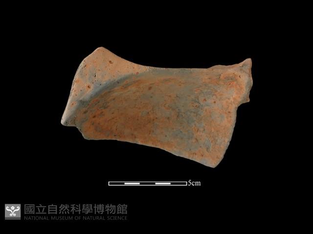 連杯形器藏品圖，第1張