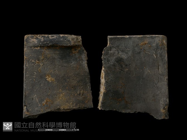 瓦片藏品圖，第1張