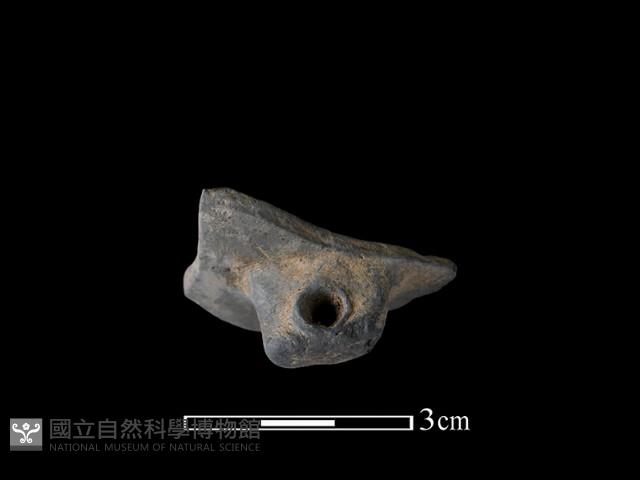 穿鼻藏品圖，第1張