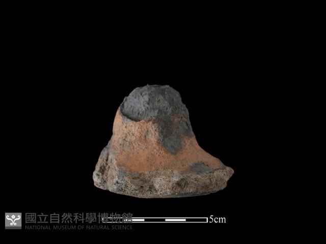 陶蓋鈕藏品圖，第2張