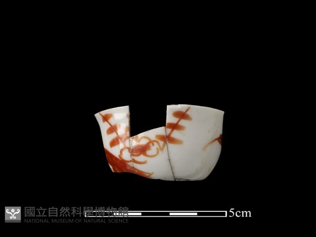 瓷杯藏品圖，第1張