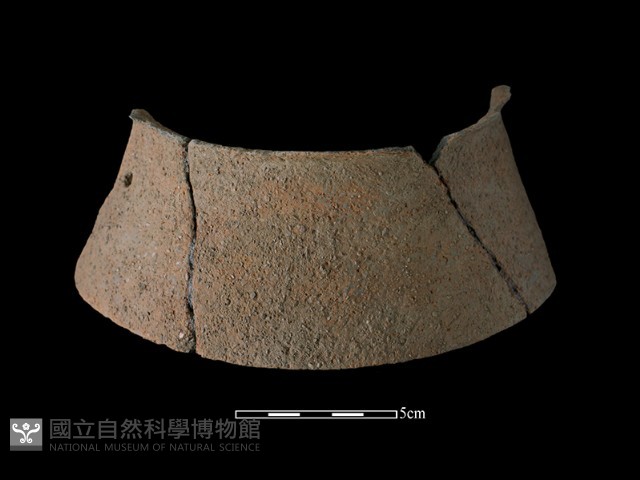 陶片藏品圖，第2張