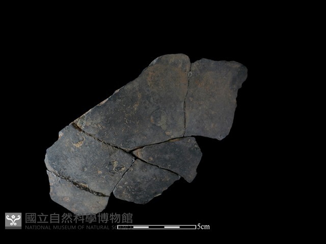 陶缽藏品圖，第2張