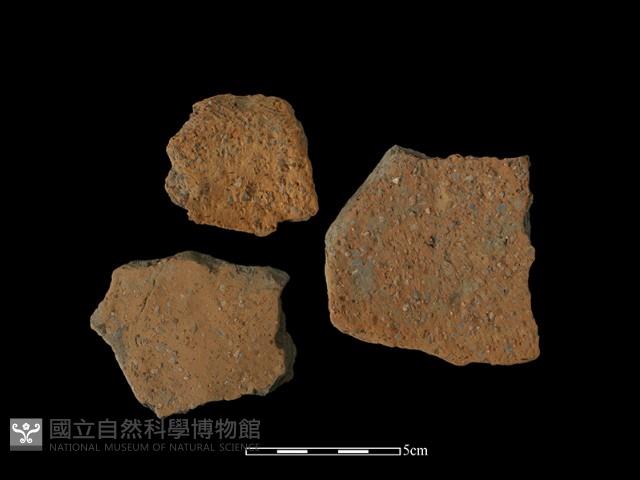 陶片藏品圖，第1張