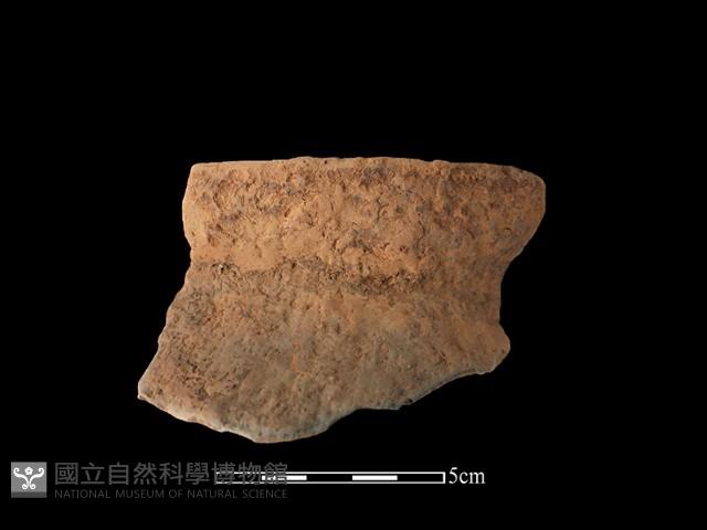 陶罐藏品圖，第1張