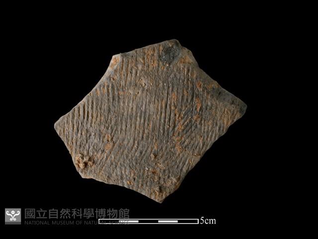 陶片藏品圖，第1張