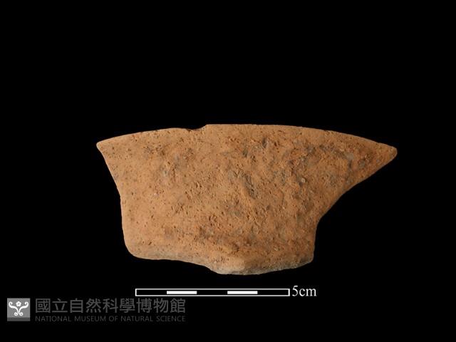 Accession Number:TC-2018-121 Collection Image, Figure 1, Total 2 Figures