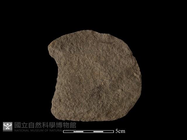 石片器藏品圖，第1張