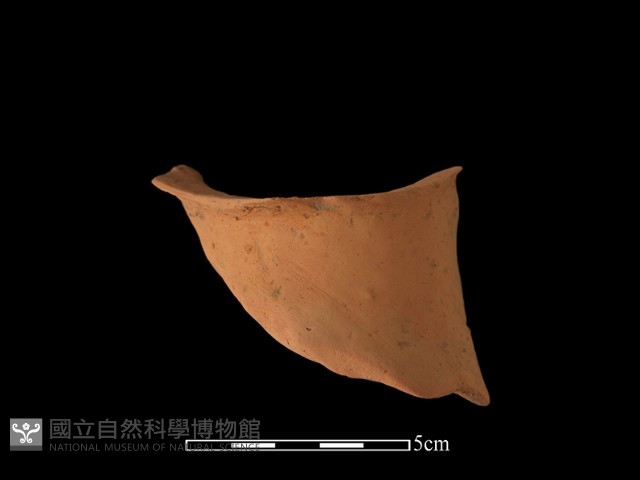 陶片藏品圖，第1張