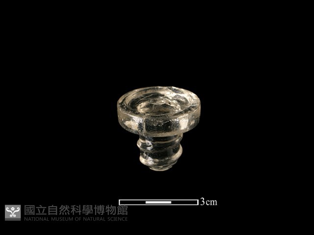 瓶塞藏品圖，第1張
