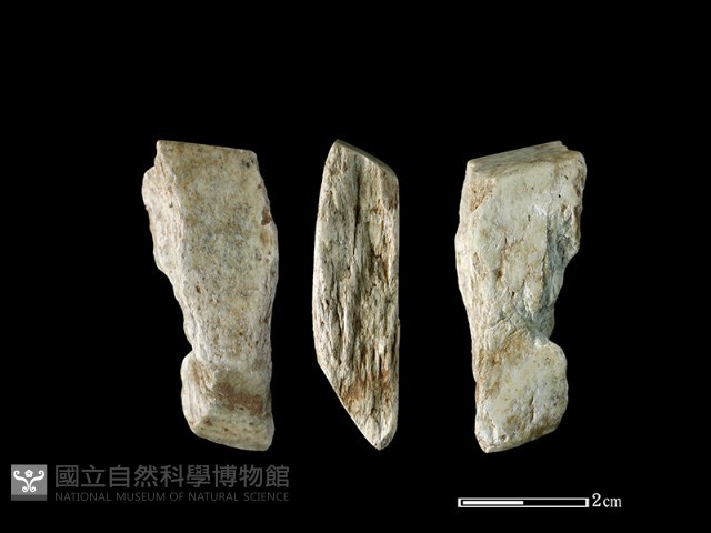 錛鑿形器藏品圖，第1張