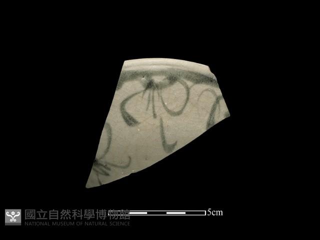 Accession Number:TCCC-2013-0106 Collection Image