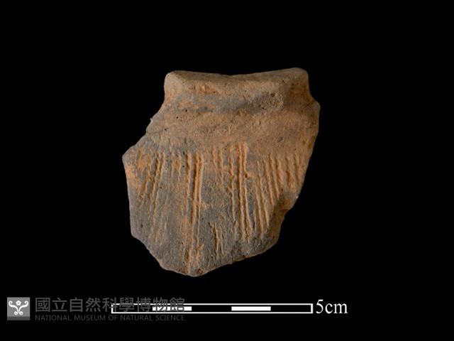 陶片藏品圖，第1張