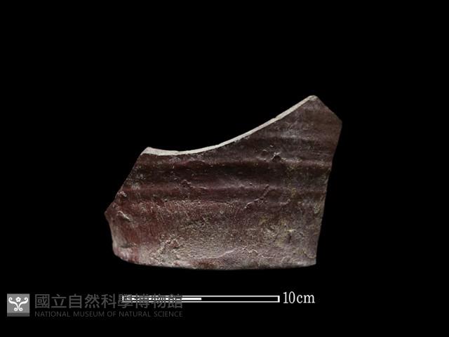 陶盆藏品圖，第1張