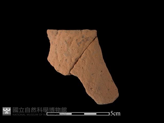 陶片藏品圖，第1張