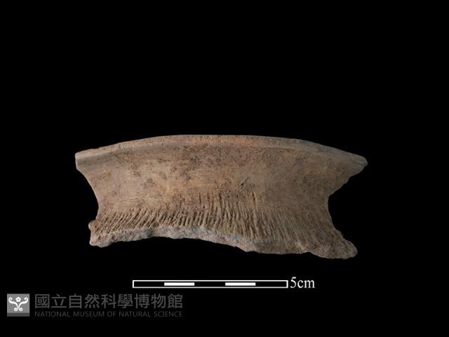 陶罐藏品圖，第1張