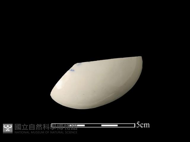 瓷盒藏品圖，第1張