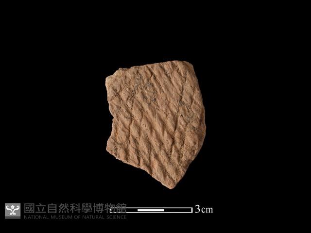 陶片藏品圖，第1張