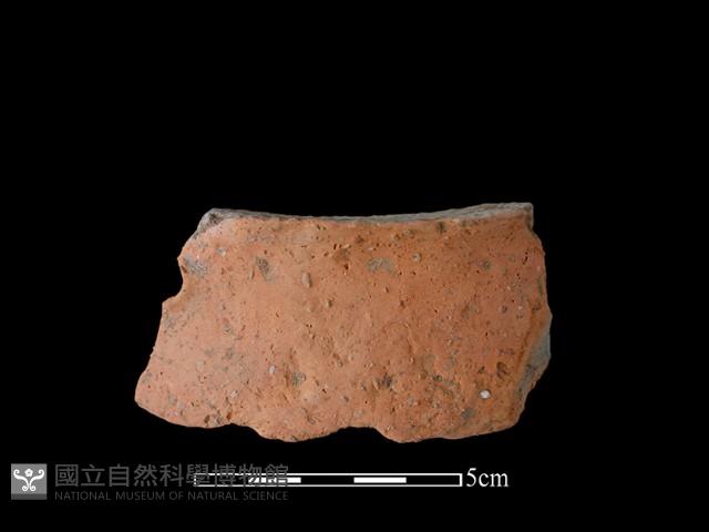 陶片藏品圖，第1張