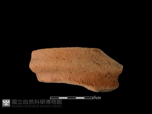 陶罐藏品圖，第2張