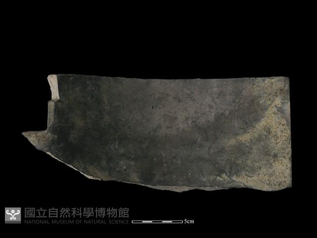 瓦片藏品圖，第1張