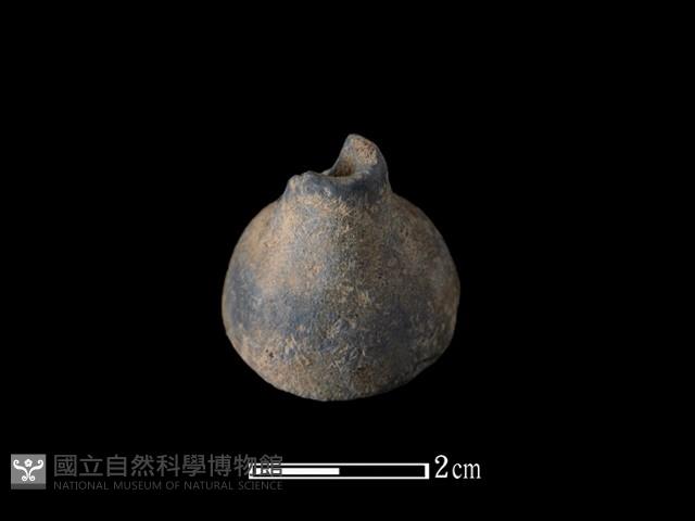 紡輪藏品圖，第1張