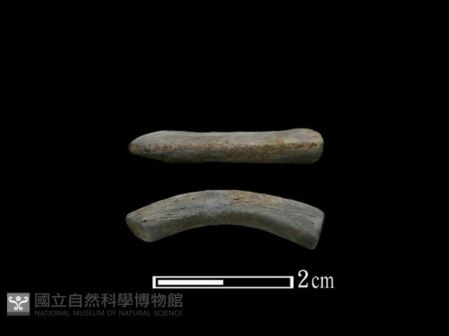 陶環藏品圖，第1張