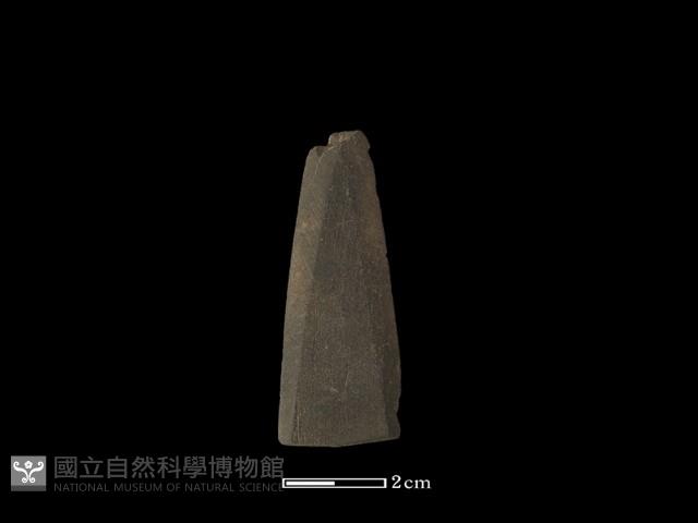 矛鏃形器藏品圖，第1張
