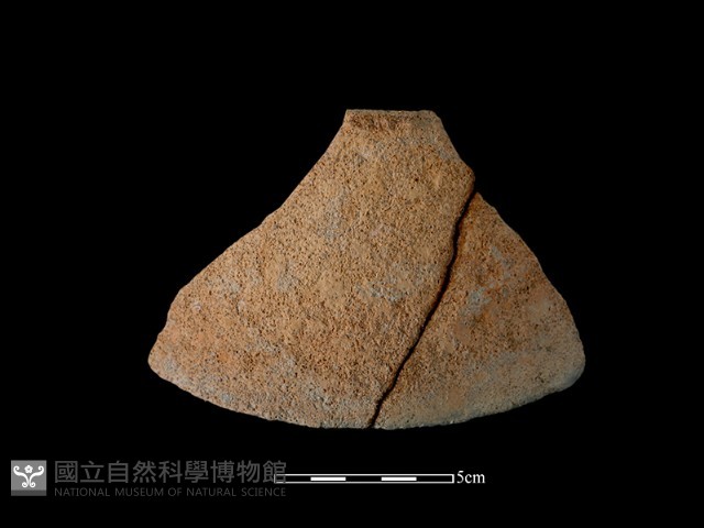 陶片藏品圖，第1張