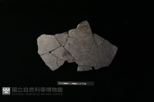 陶片藏品圖，第2張