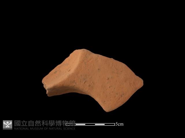 連杯形器藏品圖，第1張