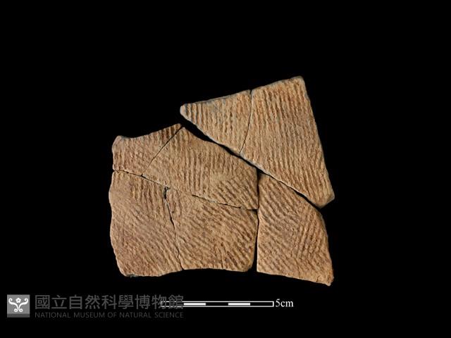 陶片藏品圖，第1張