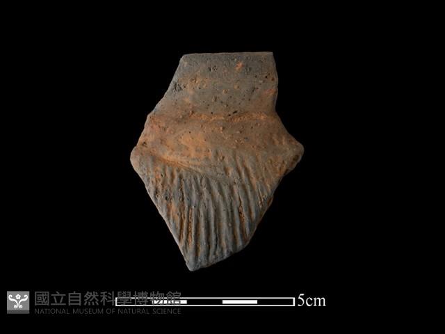 陶罐藏品圖，第2張