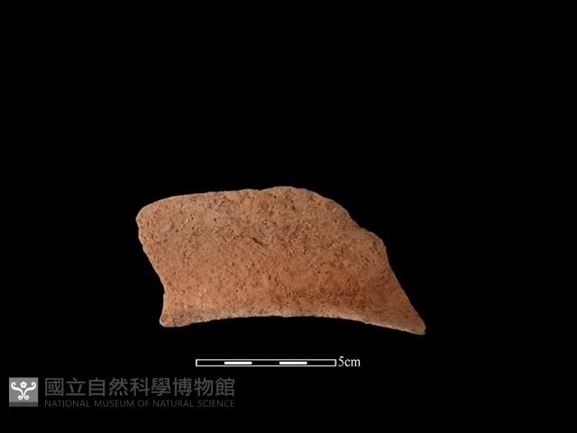 陶罐藏品圖，第1張