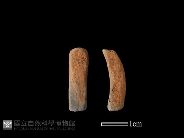 陶片藏品圖，第1張