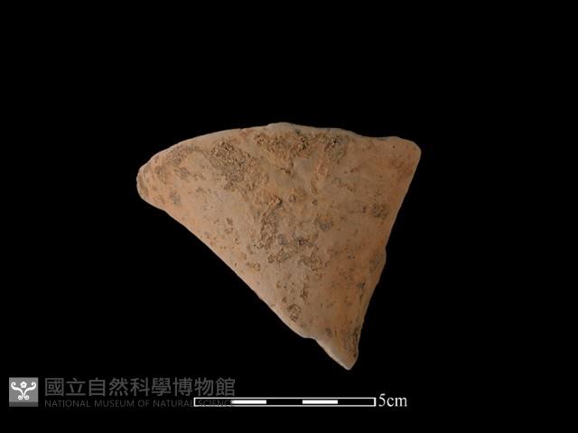 陶片藏品圖，第2張