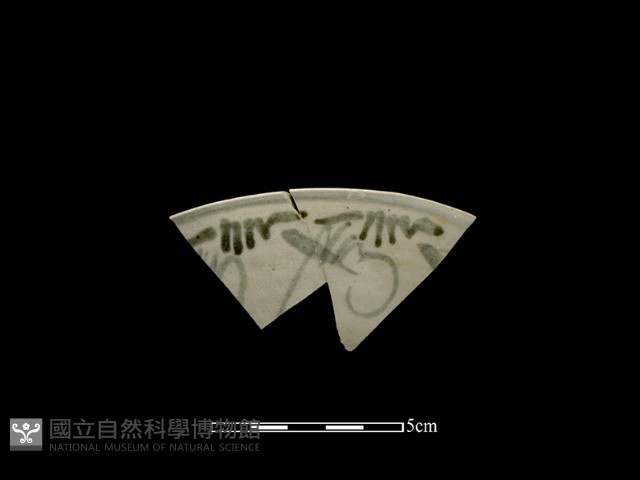 瓷片藏品圖，第1張