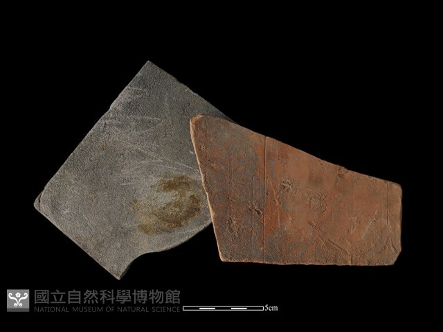 瓦片藏品圖，第2張