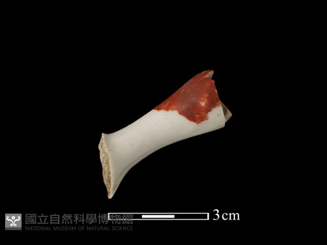 瓷把藏品圖，第1張