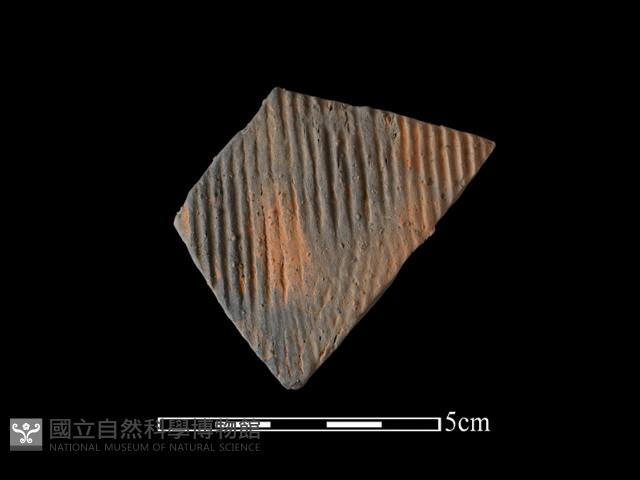 陶片藏品圖，第1張