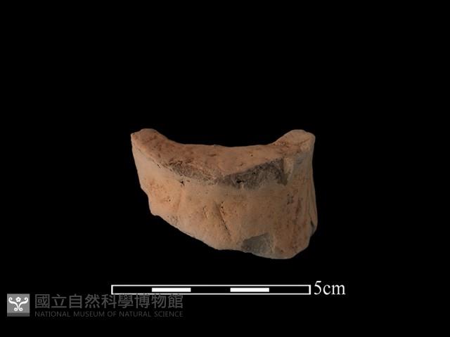 陶片藏品圖，第1張