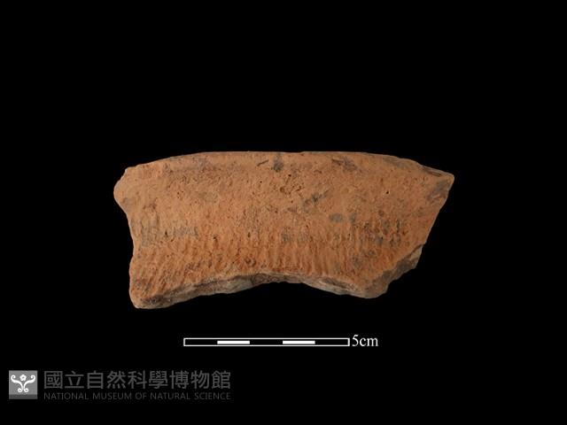 陶罐藏品圖，第2張