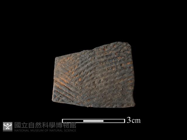 陶片藏品圖，第1張