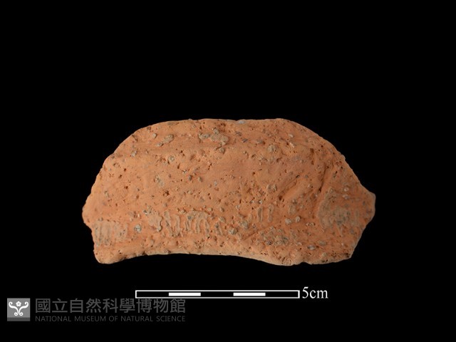 陶罐藏品圖，第1張