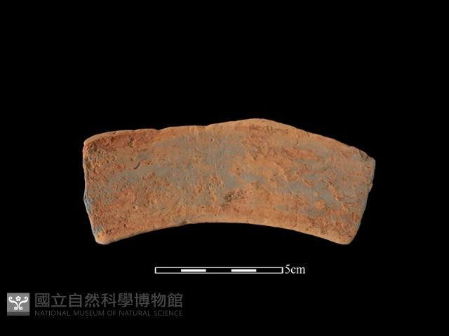 連杯形器藏品圖，第2張