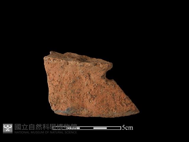 陶片藏品圖，第1張