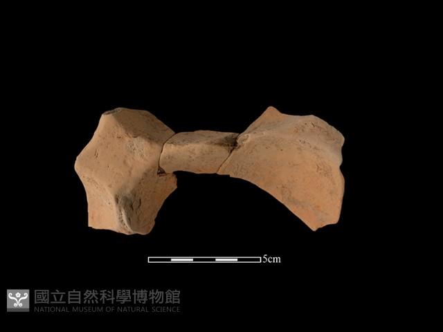 連杯形器藏品圖，第2張