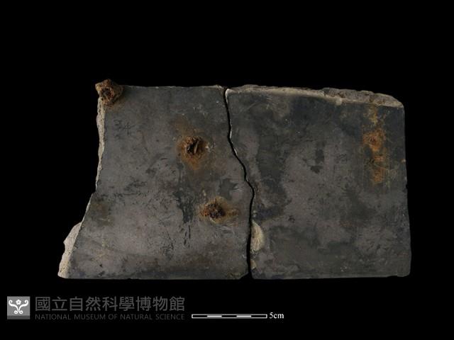 瓦片藏品圖，第1張