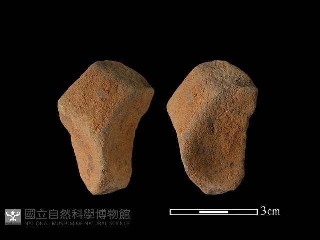 連杯形器藏品圖，第1張