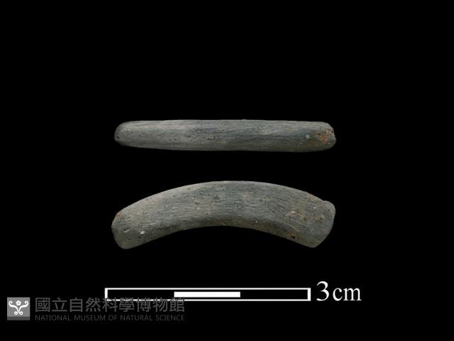 陶環藏品圖，第1張